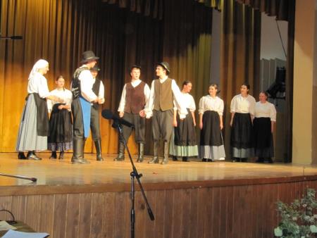 Območno srečanje odraslih folklornih skupin 2013 7